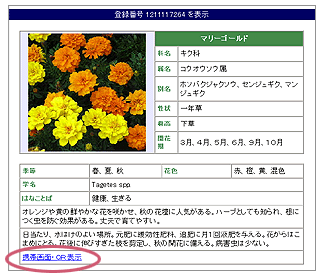 Qr花図鑑 花言葉 花情報 Qrコード付の 花 植物 花屋検索サイト